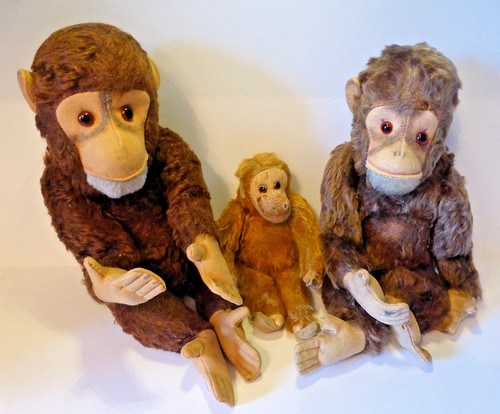 Kleine affenfamilie affen - kleine,