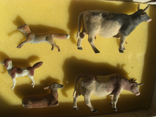 Tiere aus der - der, um