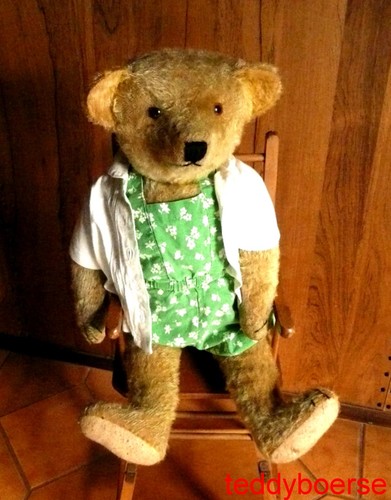 Antiker großer teddy bär - antiker,