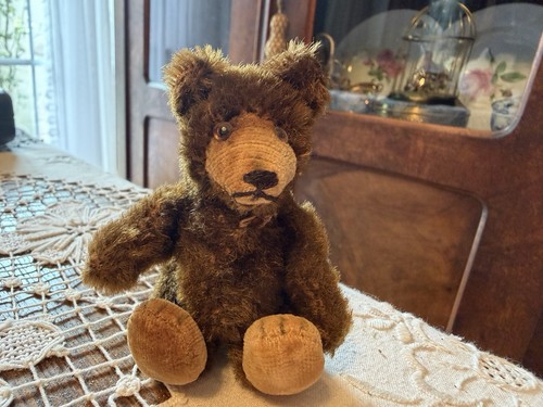 Alter steiff teddy - alter,