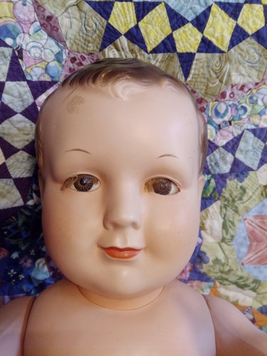 Petit colin sitzbaby - colin,