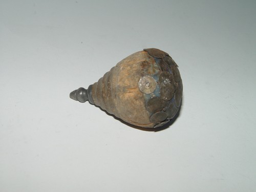 Peitschentriesel triesel - peitschentriesel,