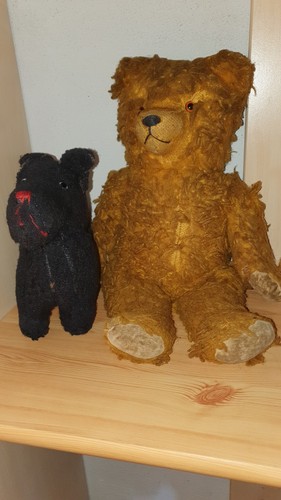 Alter teddy plus hund mit - alter,